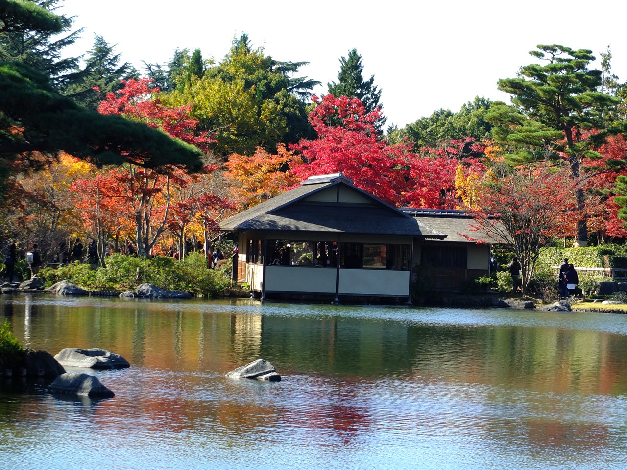 東京の紅葉（昭和記念公園）2017